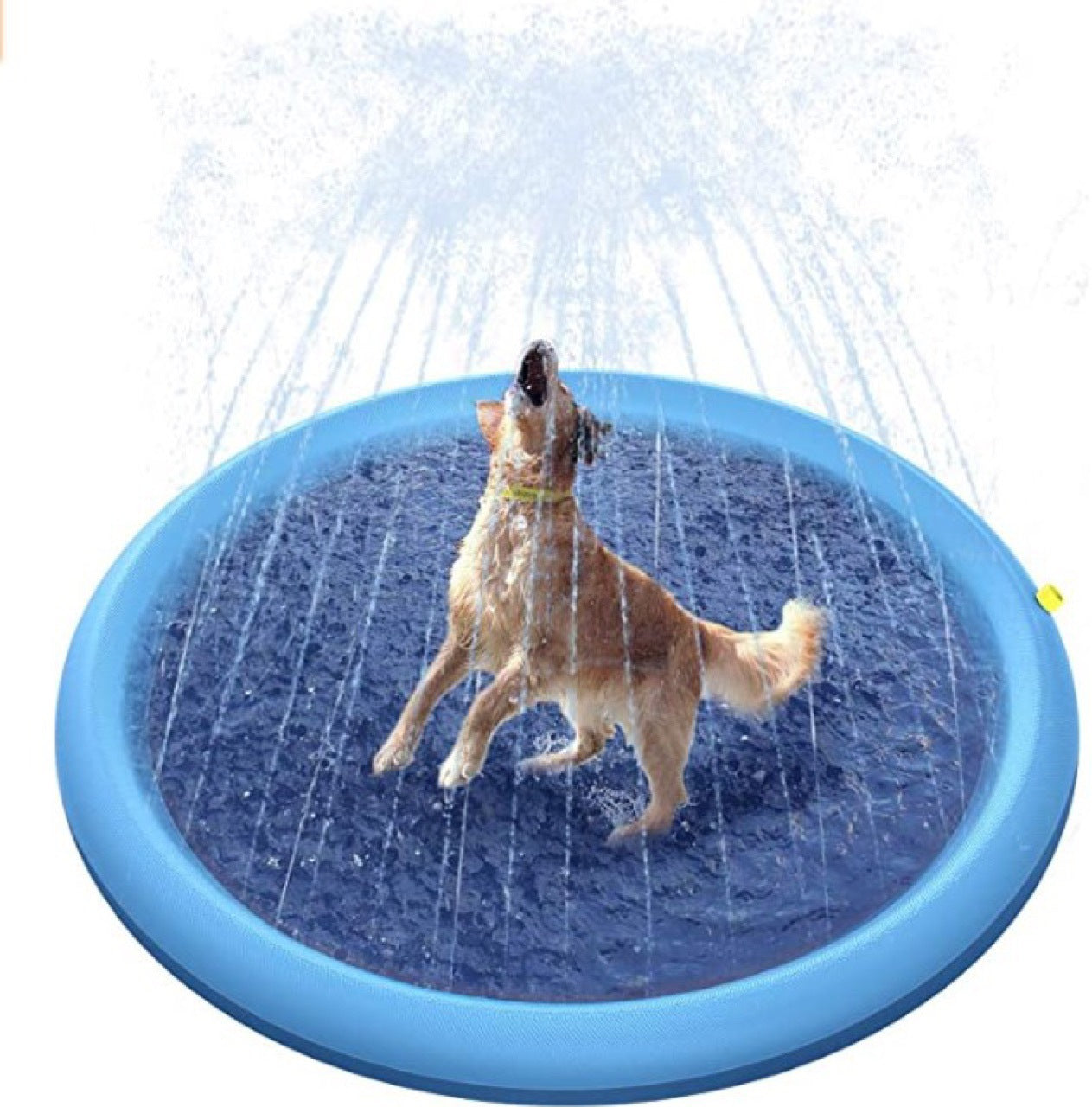 Pet Water Splash Pad